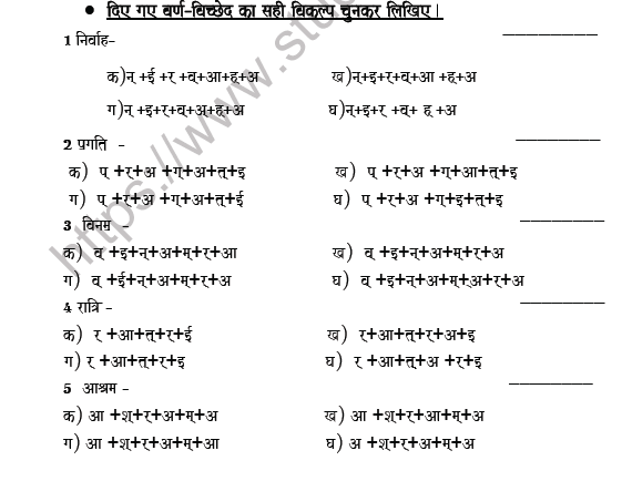 CBSE Class 8 Hindi Disjoint Worksheet Set A 4