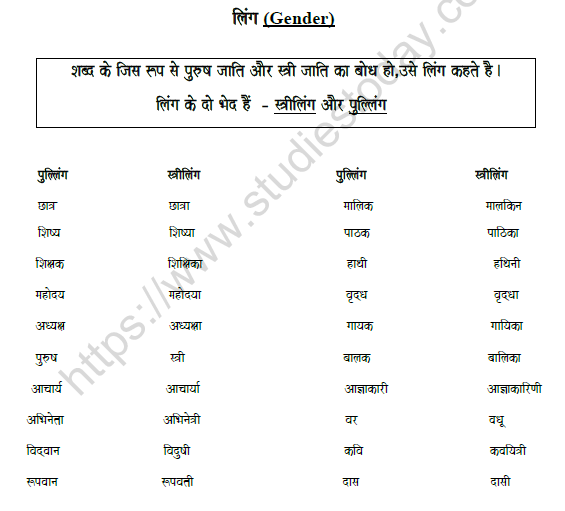 CBSE Class 8 Hindi Gender Worksheet 1