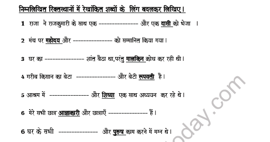 CBSE Class 8 Hindi Gender Worksheet 2