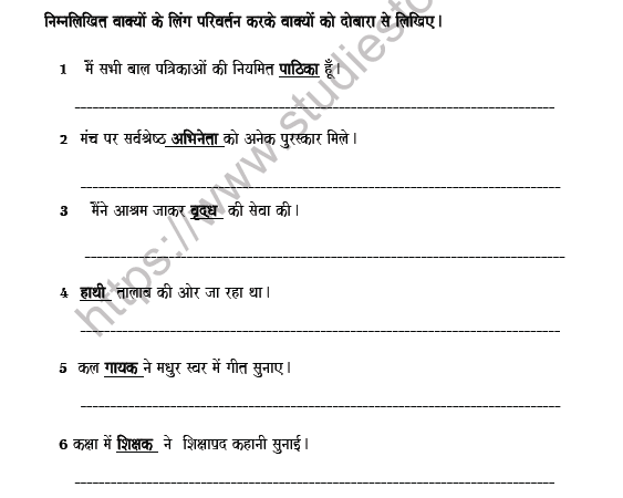 CBSE Class 8 Hindi Gender Worksheet 3