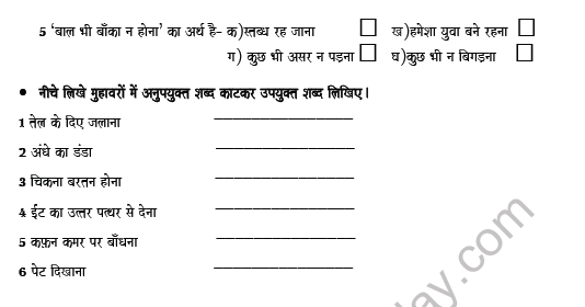 CBSE Class 8 Hindi Idioms Worksheet 2