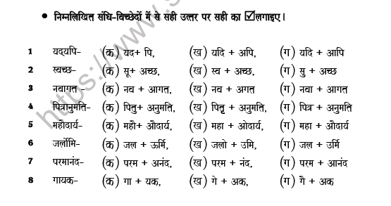 CBSE Class 8 Hindi Joining Worksheet 4