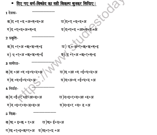 CBSE Class 8 Hindi Letter disjoint Worksheet Set B 3