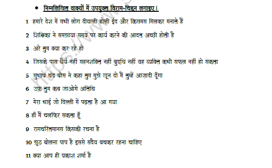 CBSE Class 8 Hindi Punctuation Worksheet Set A 2