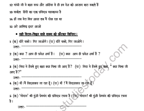 CBSE Class 8 Hindi Punctuation Worksheet Set A 3