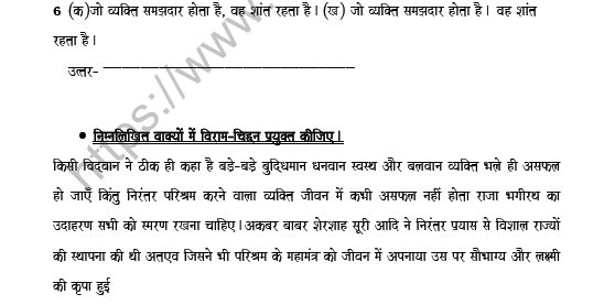 CBSE Class 8 Hindi Punctuation Worksheet Set A 4