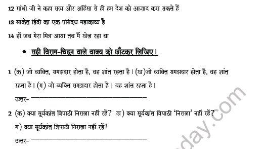 CBSE Class 8 Hindi Punctuation Worksheet Set B 3