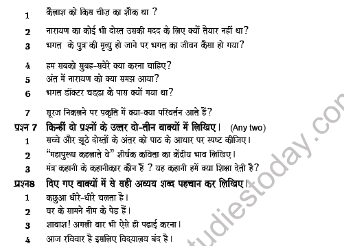 CBSE Class 8 Hindi Question Paper Set 1 Solved 2