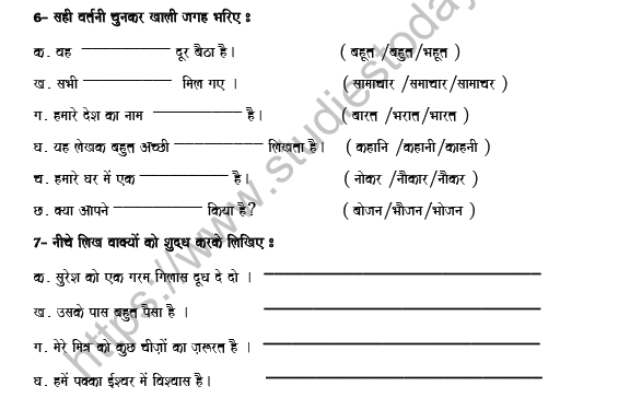CBSE Class 8 Hindi Question Paper Set W Solved 3