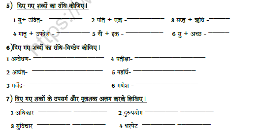 CBSE Class 8 Hindi Revision Worksheet Set C 2