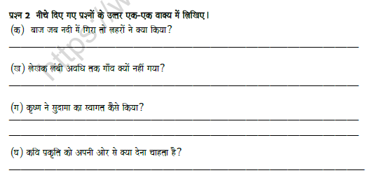 CBSE Class 8 Hindi Revision Worksheet Set E 2