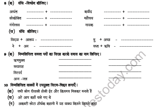 CBSE Class 8 Hindi Revision Worksheet Set G 3