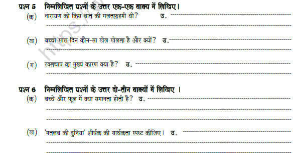 CBSE Class 8 Hindi Revision Worksheet Set H 2