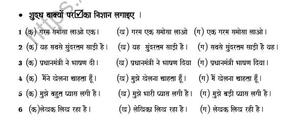 CBSE Class 8 Hindi Spelling correction Worksheet Set C 4