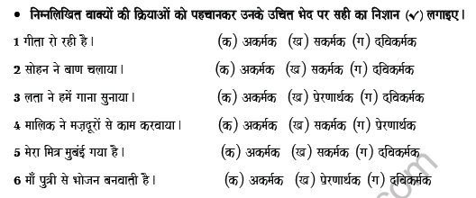 CBSE Class 8 Hindi Verb Worksheet Set C 3