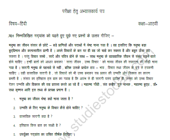 CBSE Class 8 Hindi Worksheet Set E 1