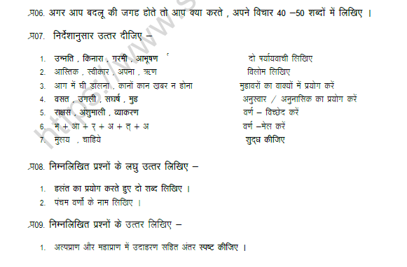 CBSE Class 8 Hindi Worksheet Set E 4