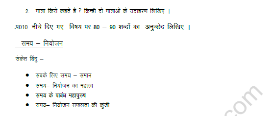 CBSE Class 8 Hindi Worksheet Set E 5