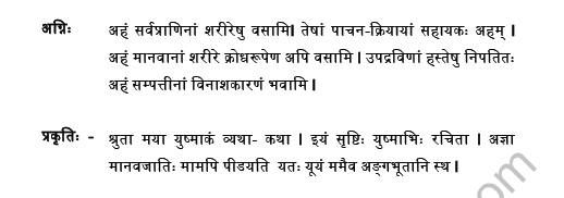 CBSE Class 8 Sanskrit Question Paper Set P Solved 2