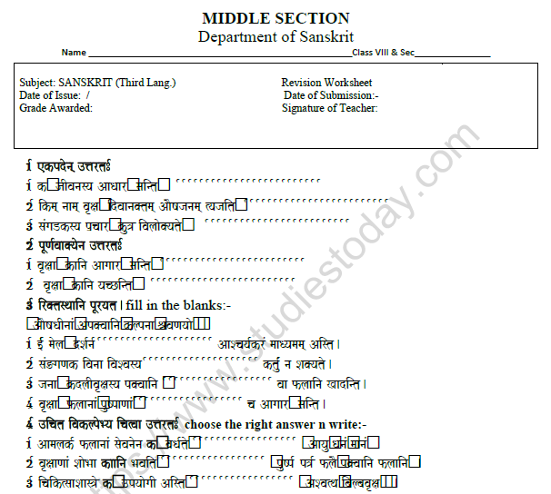 CBSE Class 8 Sanskrit Revision Worksheet Set E