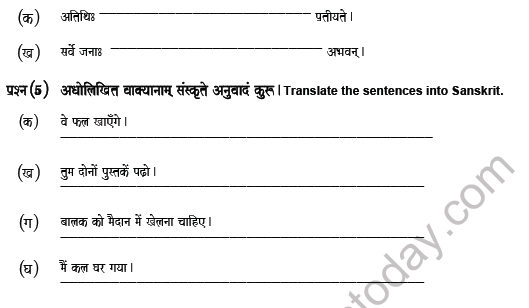 CBSE Class 8 Sanskrit Revision Worksheet Set F 2