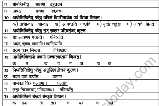 CBSE Class 8 Sanskrit Worksheet Set B 4