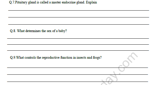 CBSE Class 8 Science Age of Adolescence Worksheet Set A 3