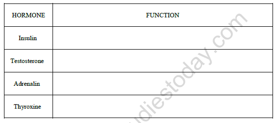 CBSE Class 8 Science Age of Adolescence Worksheet Set B 1