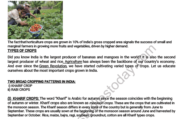CBSE Class 8 Science Crop Production and Management Worksheet 2