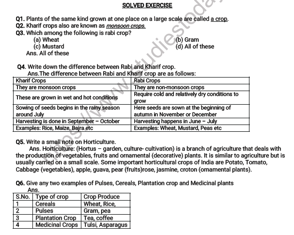 CBSE Class 8 Science Crop Production and Management Worksheet 5