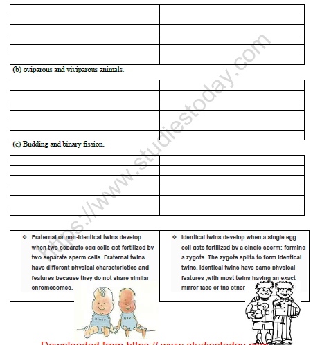 CBSE Class 8 Science Reproduction in Animals Worksheet Set D