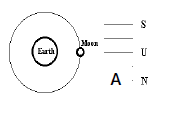 CBSE Class 8 Science Stars And Plants Worksheet  1