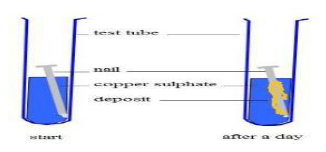 CBSE Class 8 Science Worksheet Set C