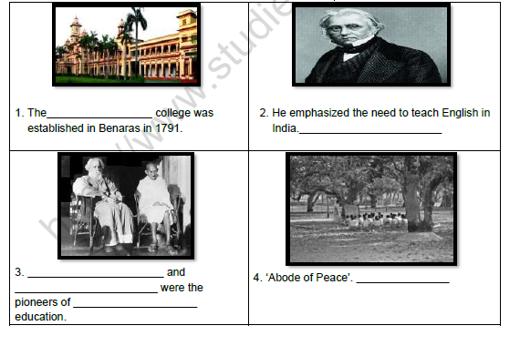 CBSE Class 8 Social Science Civilising The Native Educating The Nation Worksheet Set B