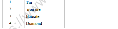 CBSE Class 8 Social Science Mineral And Power Resources Worksheet Set B  2