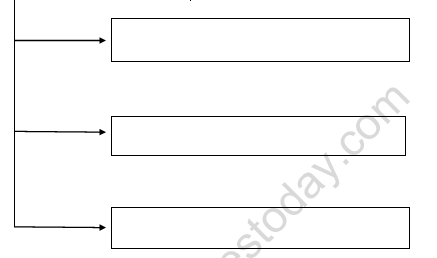CBSE Class 8 Social Science Resources Worksheet 1