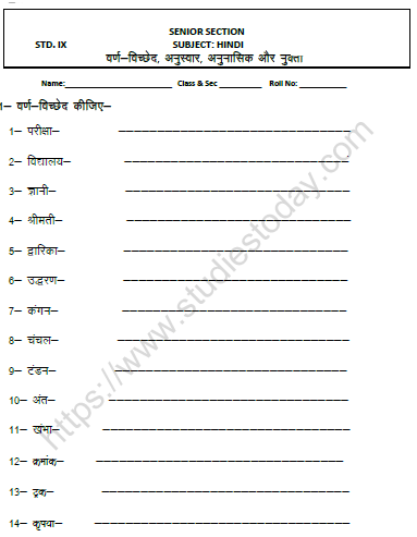 CBSE Class 9 Hindi Anusvar Worksheet 1