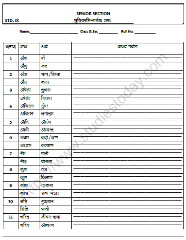 CBSE Class 9 Hindi Homophones Worksheet 1