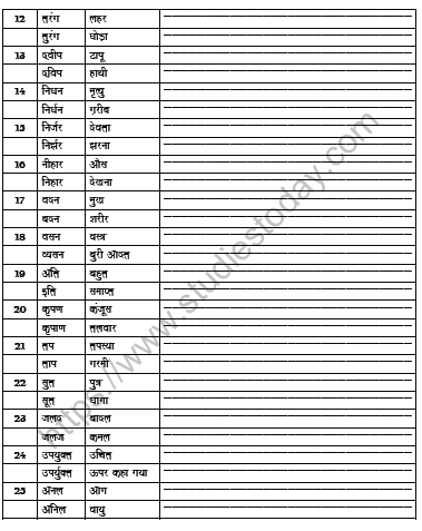 CBSE Class 9 Hindi Homophones Worksheet 2