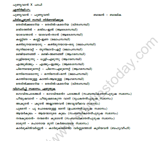 CBSE Class 9 Malayalam Ampadiyilekk Worksheet Set A 3