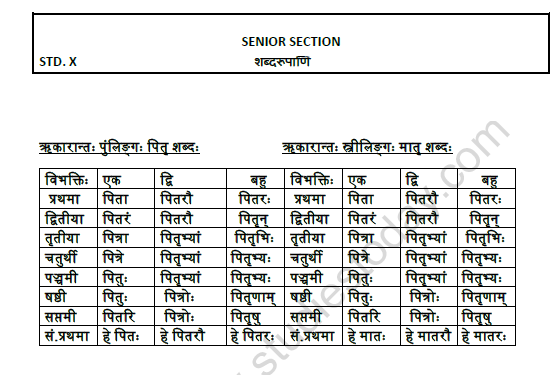 CBSE Class 9 Sanskrit Shabdrupani Practice Worksheet 1