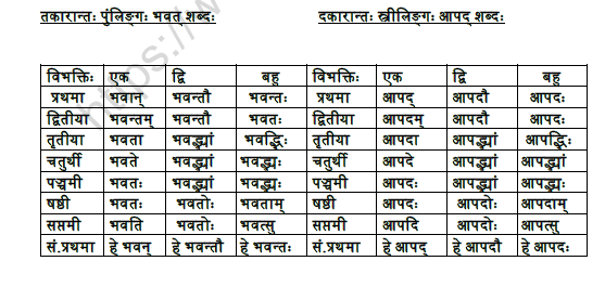 CBSE Class 9 Sanskrit Shabdrupani Practice Worksheet 2