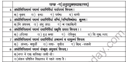 CBSE Class 9 Sanskrit Worksheet Set D 2