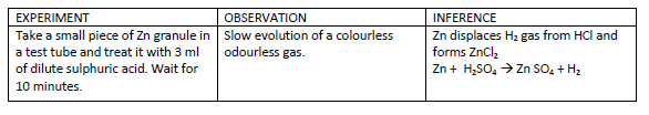 CBSE Class 9 Science Lab Worksheet Different Chemical Changes 3