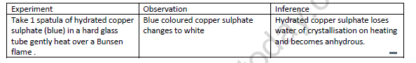 CBSE Class 9 Science Lab Worksheet Different Chemical Changes 4