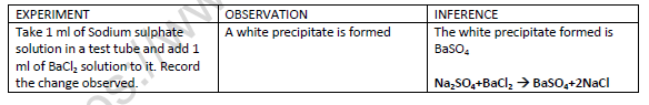 CBSE Class 9 Science Lab Worksheet Different Chemical Changes 5