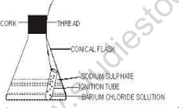 CBSE Class 9 Science Lab Worksheet law of Conservation of Mass 1