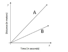 CBSE Class 9 Science Motion Worksheet Set H 2