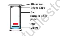 CBSE Class 9 Science Worksheet Set L