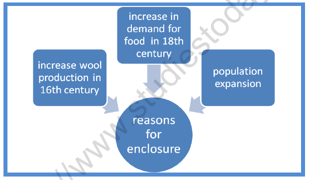 CBSE Class 9 Social Science Peasants and Farmers Worksheet 2